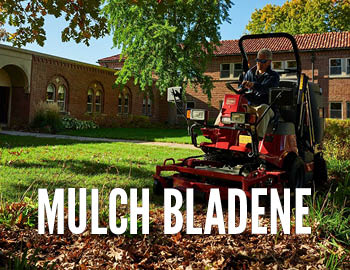 Mulcha bladene