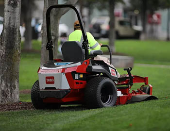 Toro Z-master