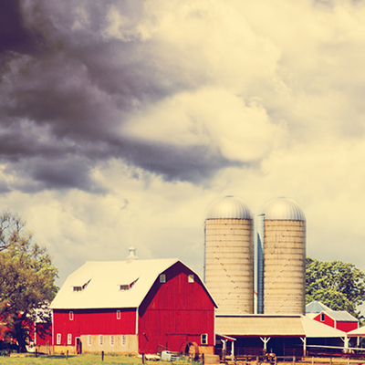 Staller og jordbruk med Hako